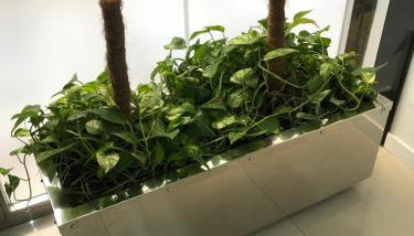 La Victoria Home - Foto 5