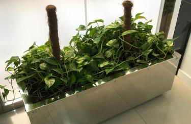 La Victoria Home - Foto 5