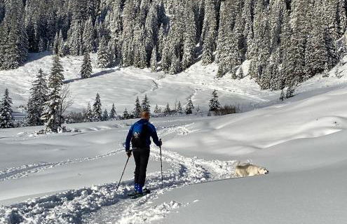 Fewo Längerer - Foto 26