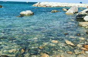 Residence Meeting - Foto 17