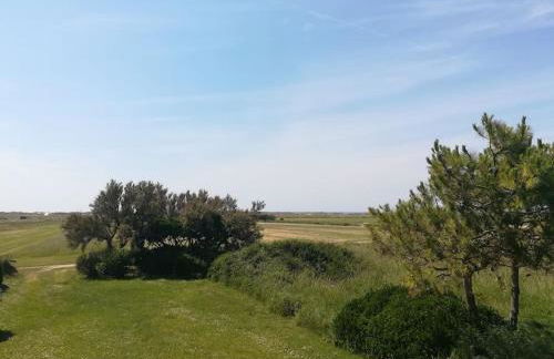 1. Ty gwalarn, vue sur la lande, dunes et océan - Foto 21