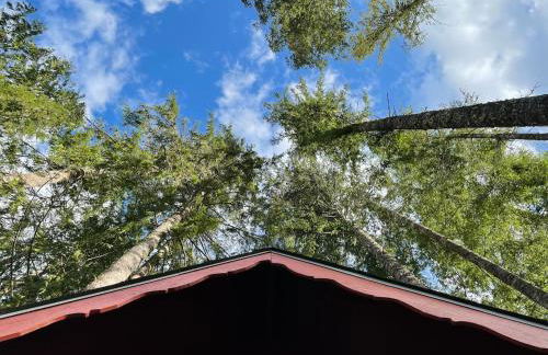 Mt Rainier Little Red Cabin - Foto 23