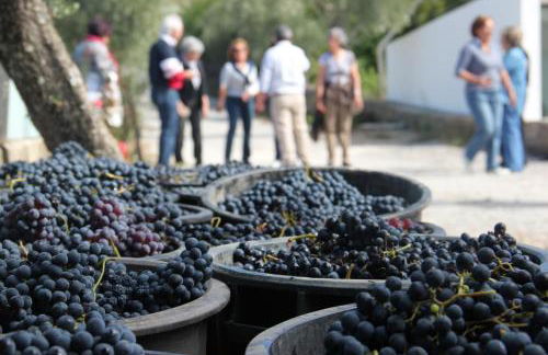 Quinta de Fiães - Photo 60