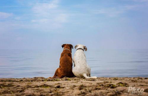 Hof am Meer "Seerose" - Foto 18