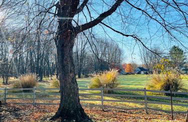 Winifreds Hideaway - Photo 31