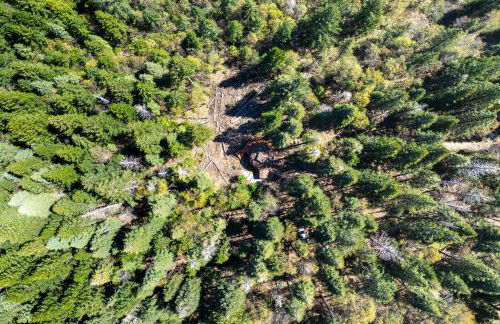 Off-Grid Geodesic Dome Nevada City House with Views - Foto 33