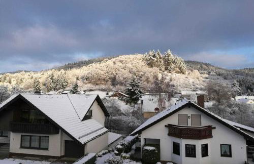 Spacious Flat in Adenau Near the Nurburgring - Foto 82