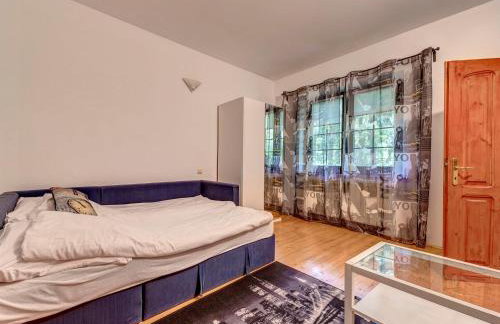 Holiday Home Zameczek Falsztyn by Interhome - Foto 43