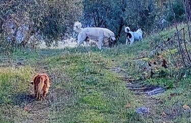 Little Bit Of Heaven - Foto 27