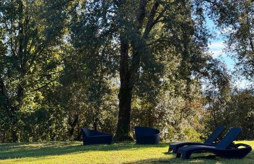 Casina nel Bosco - Foto 14