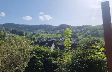 Ferienwohnungen Bühlertal - Foto 50