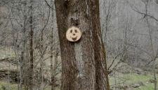 Baita salzkabe - Foto 2