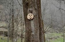 Baita salzkabe - Foto 2