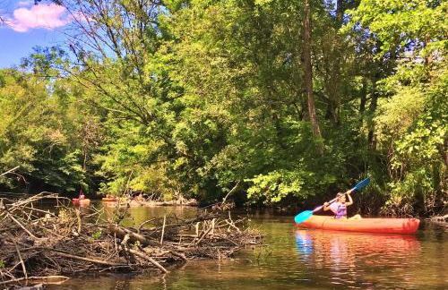 Vakantie Woning Le Chat Maison 175 - Foto 6