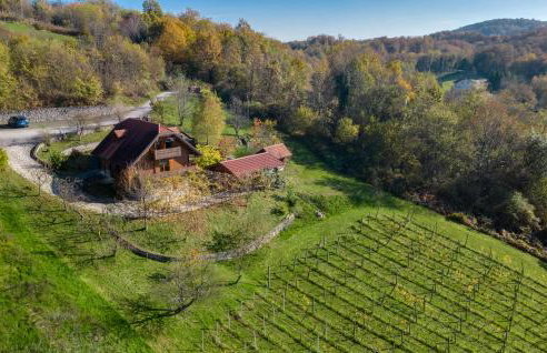 Lovely Home In Veliki Vrh Kamanjski - Foto 1