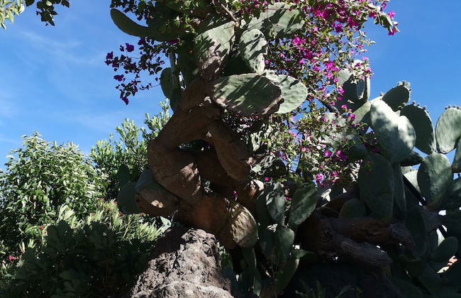 La Fattoria dei Nonni Resort dell'Etna - Foto 16