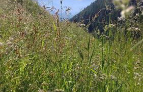 Unterweg Hof - Foto 7