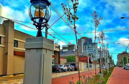 Viver a vida - Photo 58