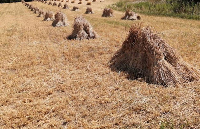 Seaside Serenity in Jaegerspris-by Traum - Foto 14