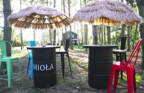 Jemioła Chaty Niedźwiady Małe - Foto 37