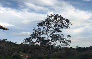 Casa de Chã - Foto 28