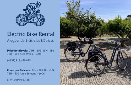 Portoo Blue Apartments - Douro - Foto 16