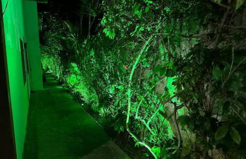 Casa com 9 quartos, Piscina 10x5m e área gourmet - Foto 12