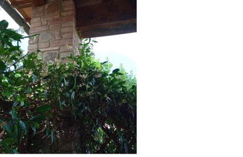 La Casa di Chianni La Pieve 2 - Foto 15