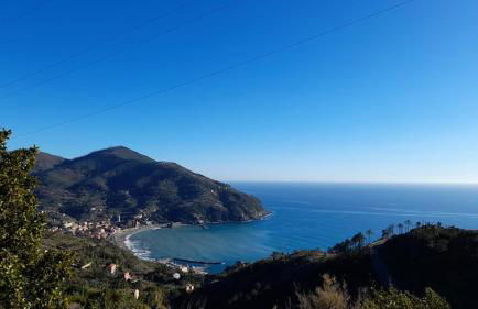 La Calla Rossa - Foto 7