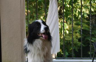 OASI LIGNANA Country Chic Apartments, nestled in a 40-hectare estate - Foto 9