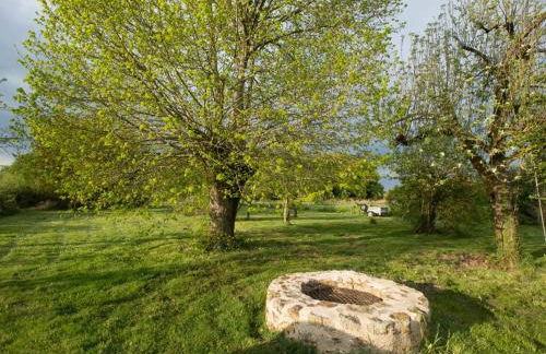 Séjour nature au cœur du Parc de la Brenne: gîte 4 chambres, jardin et terrasse, proche de Rosnay - FR-1-591-141 - Foto 6