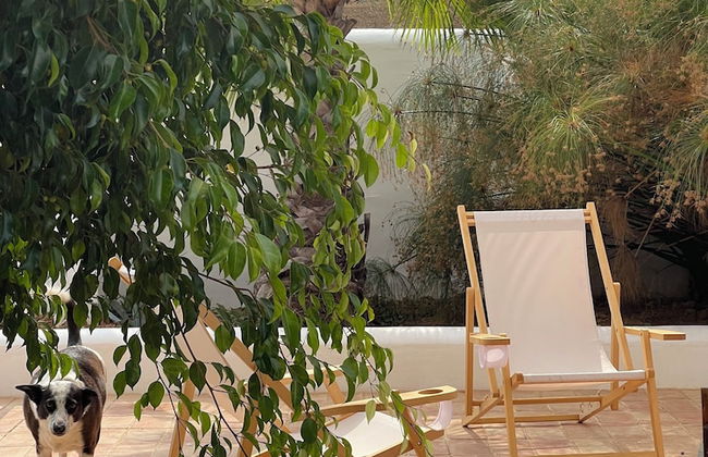 uma casa em entradas Guesthouse Alentejo - Foto 45