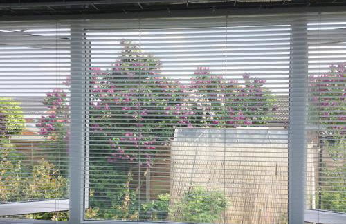 The Briar Rose - Foto 8