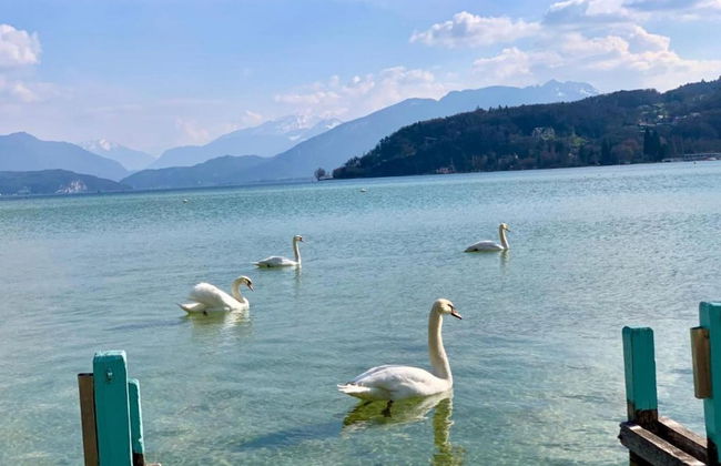 Savoy Style Mountain Stay - Foto 35