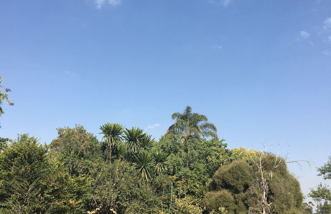 2 Bedroom Executive & Holiday Suburban Home - Foto 32