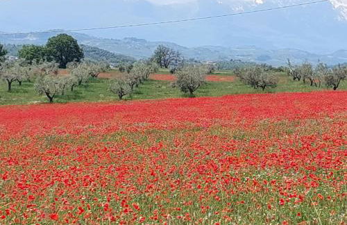 Heritage Apartment Nestled Between Sea and Hills - Foto 6