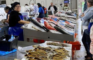 JScAsa Rainha Centro - Foto 11