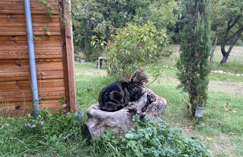 Lou Souleu - Foto 10