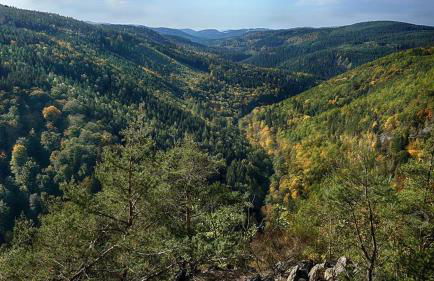 Bungalow Schwarzatalblick in Bad Blankenburg Ortsteil Böhlscheiben - Foto 21