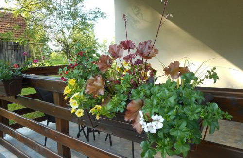 Holiday home, Apartman Obajdin - Foto 9