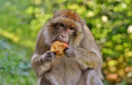 Relax-Apartment mit Indoor-Pool, Fitness und Netflix am Bodensee - Photo 30