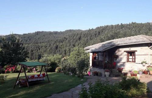 Παραδοσιακή πέτρινη κατοικία στην Βλάχα Ελάτης - Foto 7