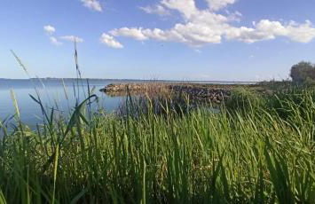 Casa Vacanze Nel Delta del Po - Foto 21