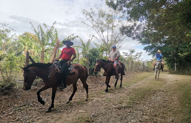 Campos de Oro Wilderness Lodge - Photo 52