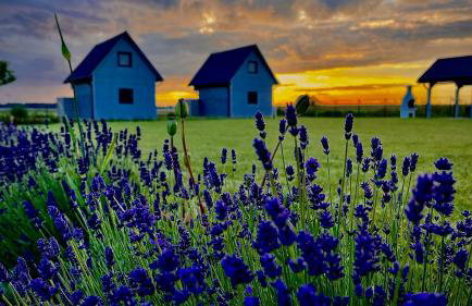 Słoneczna Przystań - Foto 39