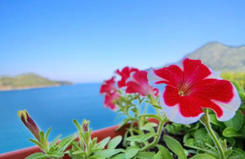 Apartments Filipovi - One-Bedroom Apartment with Balcony and Sea View A1 - Foto 29