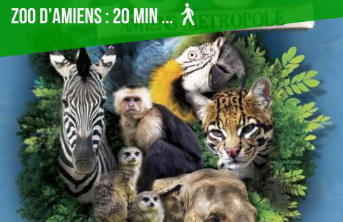 Duplex Safari jusqu'à 4 personnes, Spa, cinéma et lit sous les arbres, day use, 10 min centre - Foto 13