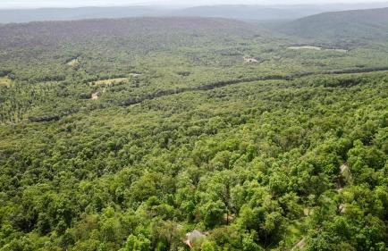 Stunning Mountain Views w Deck & Grill on 5 Acres! - Foto 49