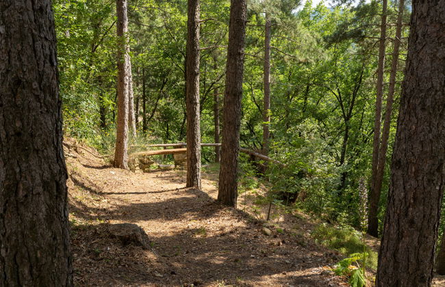 San Leolino - Foto 37