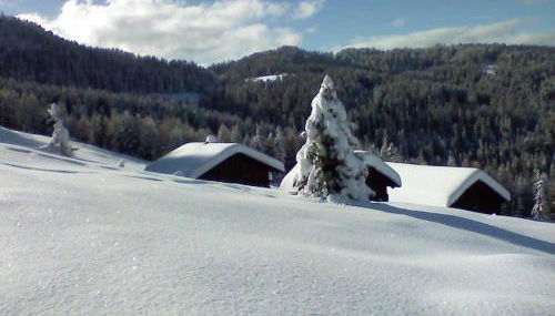 Pirchnerhof - Photo 2